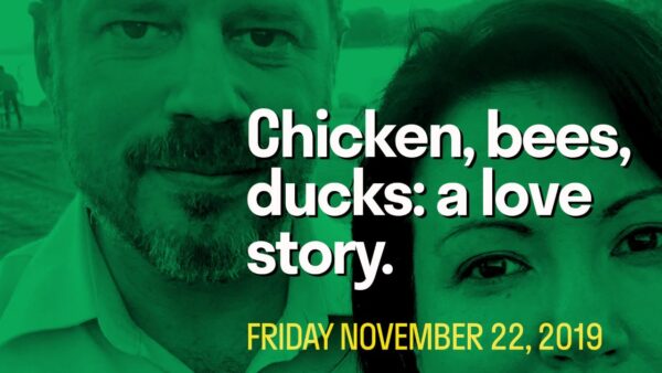 [Daily Live] Chickens, Bees, Ducks: a Twisted Love Story.