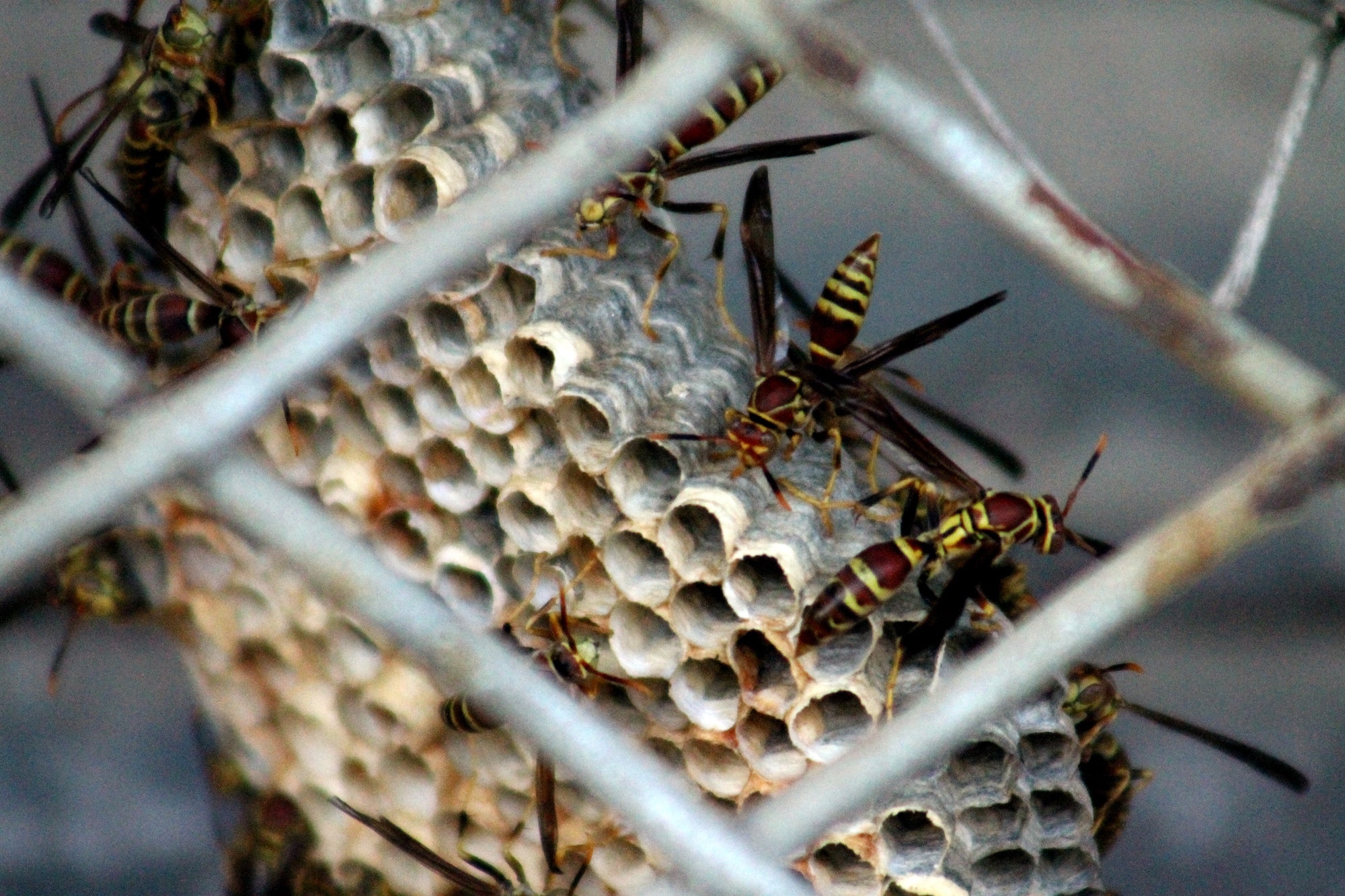 Exam Time T a Smith exam-time-t-a-smith